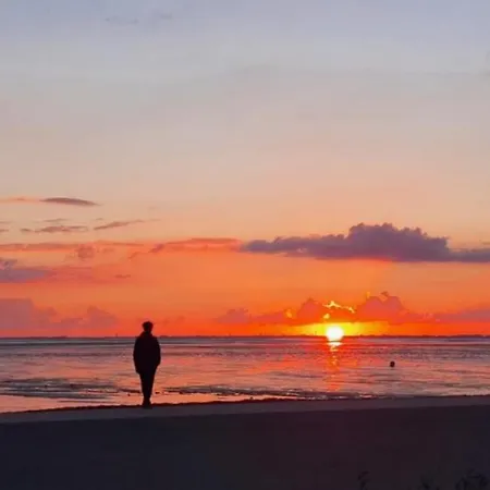 Neu!! Deichblick Og Am Jadebusen/nordseekueste 아파트 *