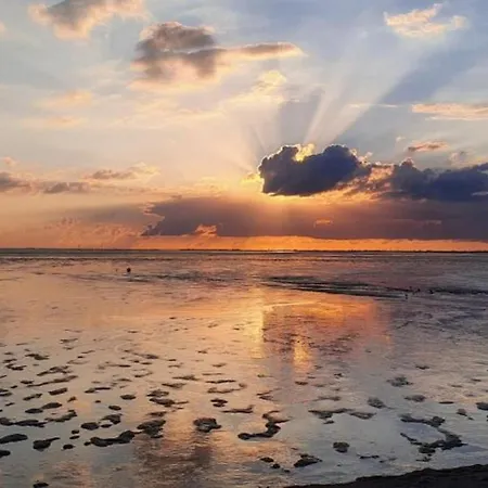Neu!! Deichblick Og Am Jadebusen/nordseekueste Augusthausen