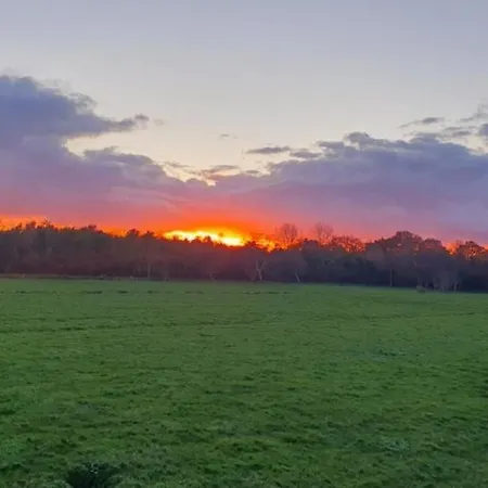 Neu!! Deichblick Og Am Jadebusen/nordseekueste *