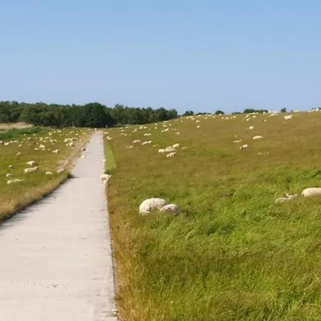 Neu!! Deichblick Og Am Jadebusen/nordseekueste