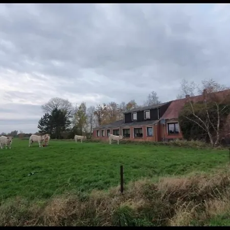 Neu!! Deichblick Og Am Jadebusen/nordseekueste *